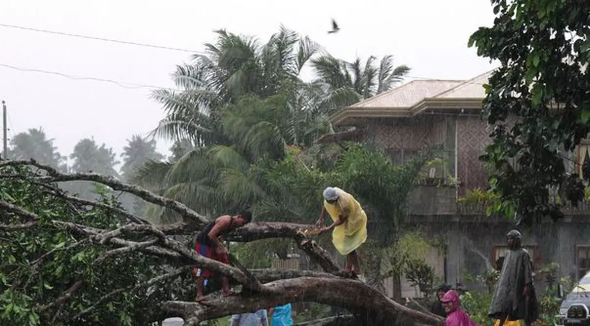 Tragedie în Filipine! 240 de morți în urma taifunului Bopha