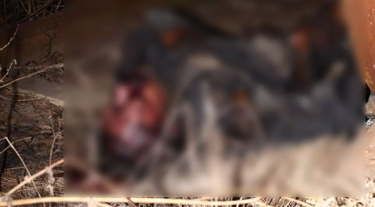 IMAGINI ŞOCANTE. A murit electrocutat sub un vagon