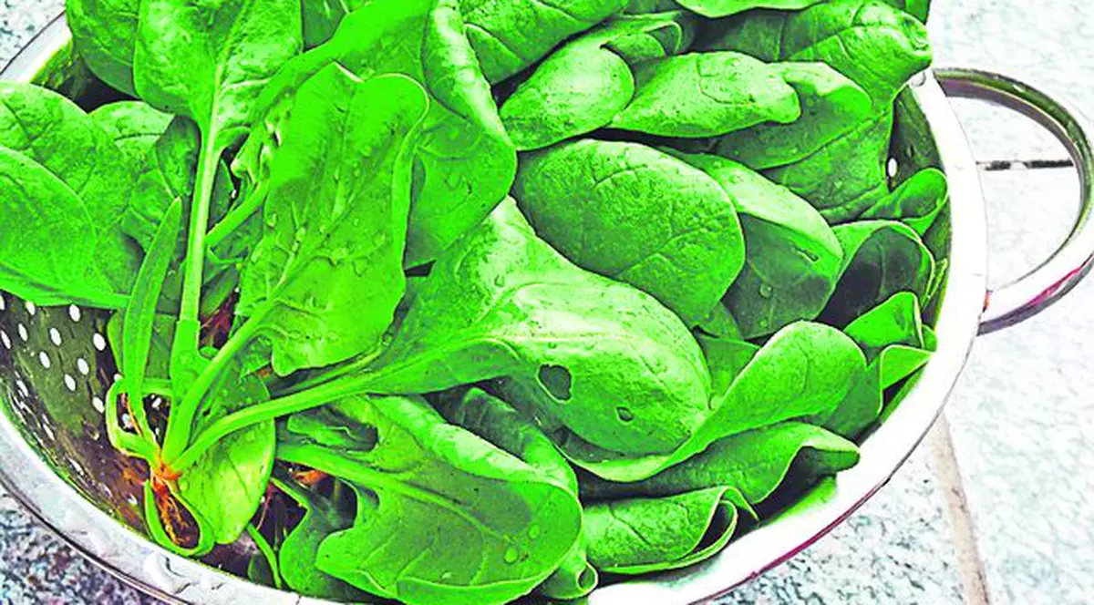 Pontul nutriţionistului - 3 motive ca să consumi spanac