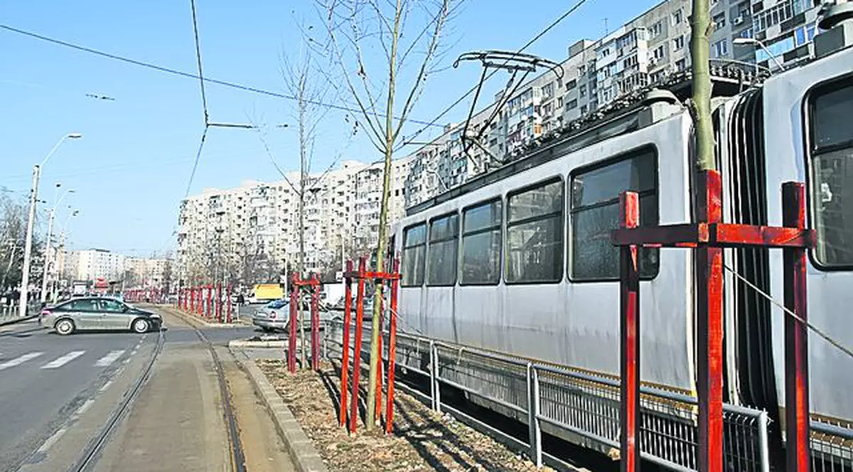 În sectorul 3 al Capitalei s-au plantat pomi care ating liniile de tramvai. Un proiect de 1.000.000 € ne pune viaţa în pericol