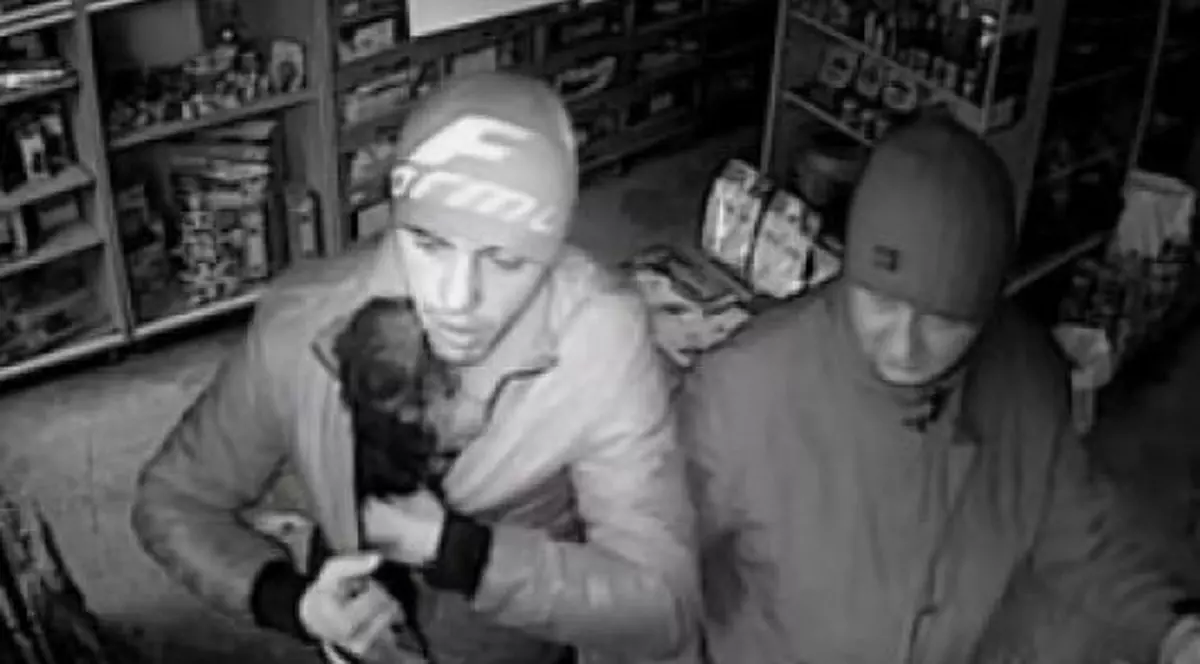 Un căţel de buzunar a fost furat dintr-un pet-shop din Constanţa. Hoţii, căutaţi de poliţie - VIDEO