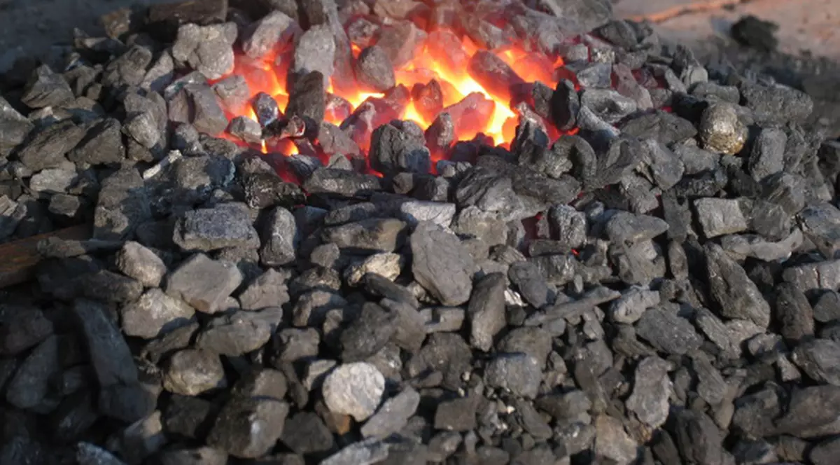 DOVEZI CUTREMURĂTOARE! Ce s-a descoperit într-un cărbune vechi de 300 milioane de ani