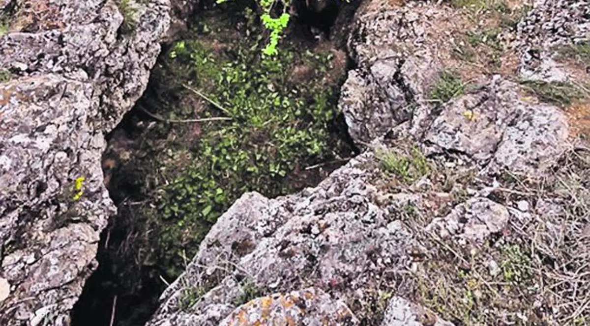 Aici se ascundea Terente