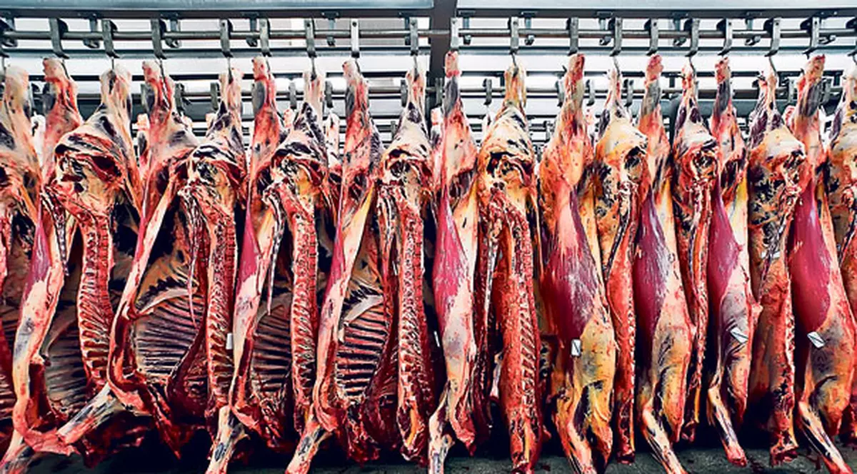 Producătorii români acuzaţi că au stat la baza scandalului cărnii de cal: «Nu ştiu cine are interes să lovească în noi»