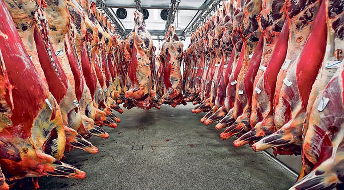 Anchetă în Danemarca după depistarea de carne de cal în pizza