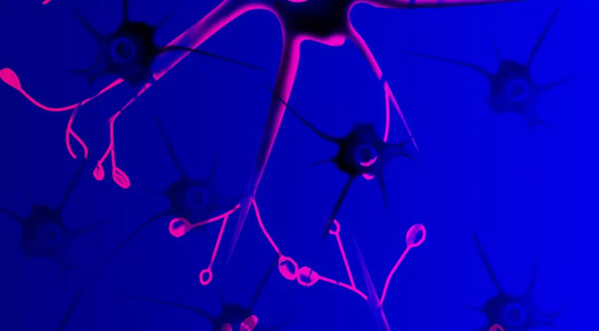 Descoperirea extraordinară despre CANCER! Trebuie să citeşti asta!