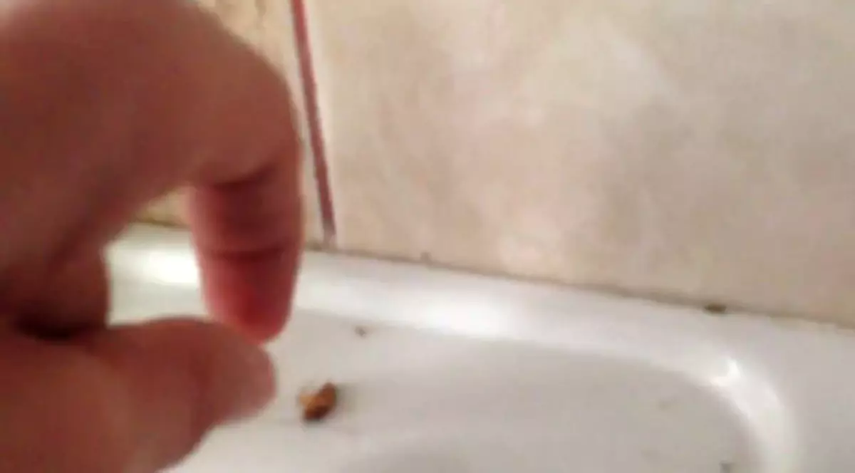 Copii tratați printre gândaci, la Spitalul de Pediatrie din Ploiești - VIDEO