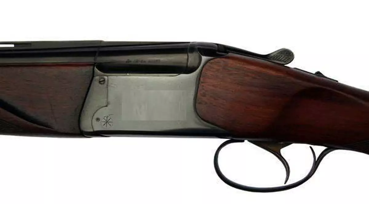 Nu o să-ţi vină să crezi! România a fost invadată de..şacali!