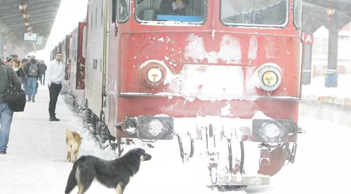 De tot râsul! Hoţ prins pentru că... Rapidul circulă prea încet!