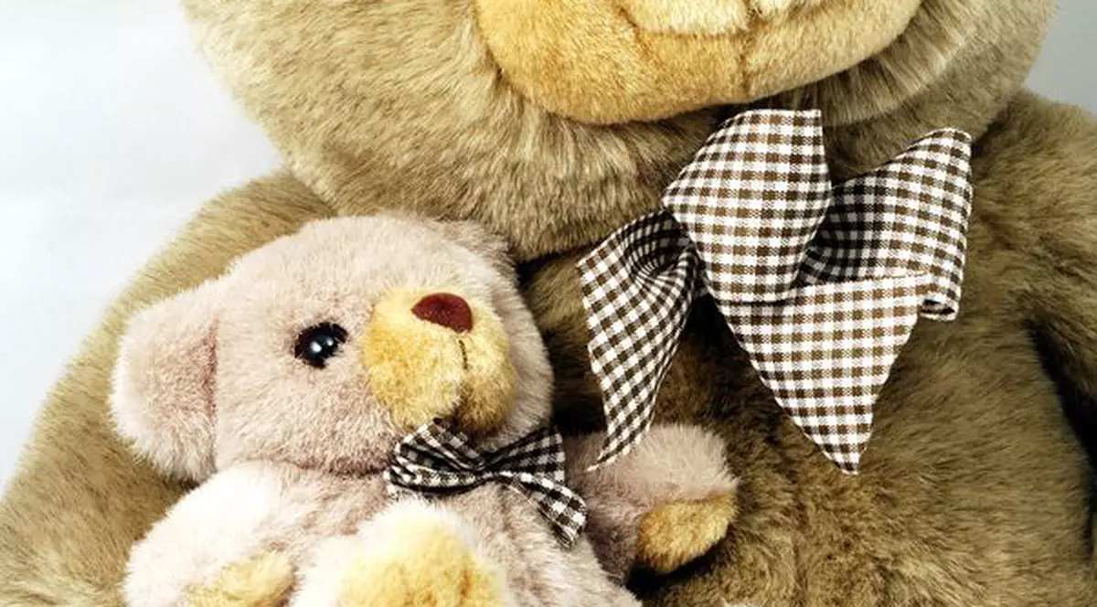 Polițist condamnat la doi ani de închisoare din cauza unor ursuleți de pluș