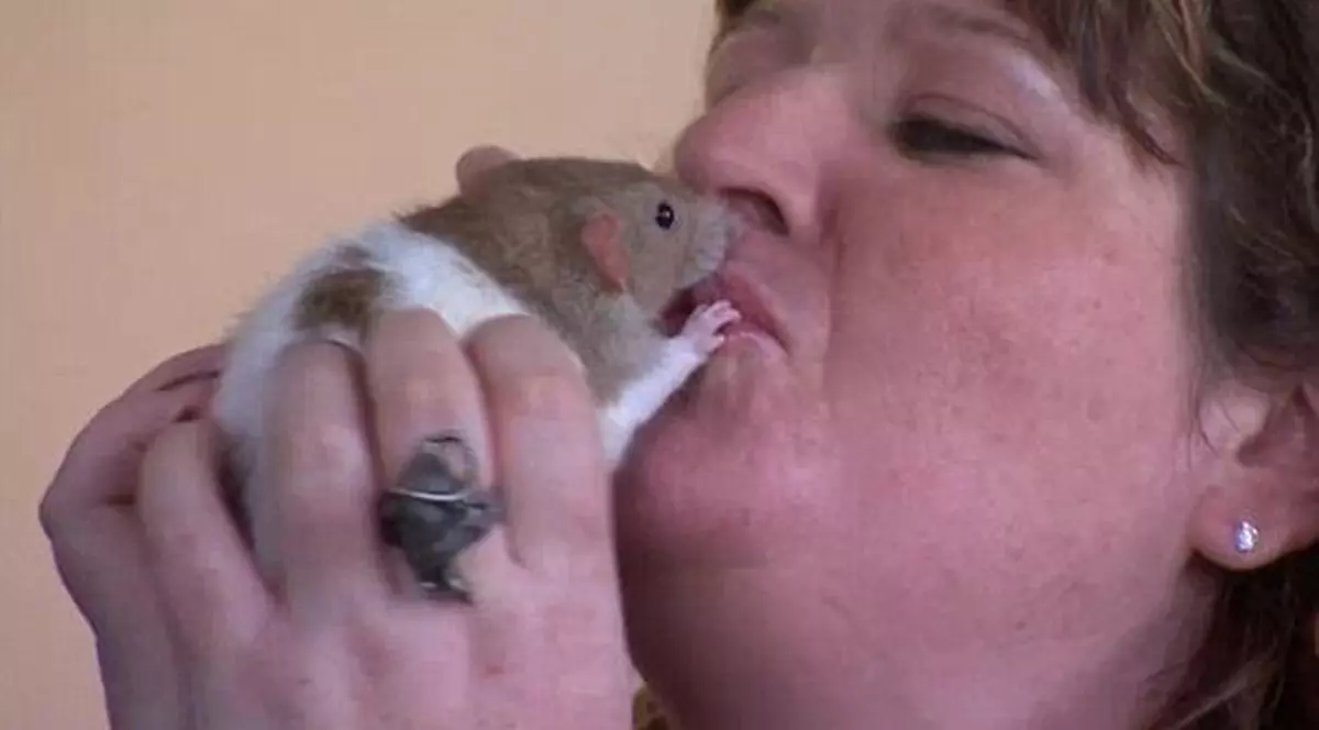 ȘOCANT! Obsesia unei femei pentru șobolani: "Îi iubesc, nu pot trăi fără ei! Îmi ling lacrimile când plâng!" | VIDEO