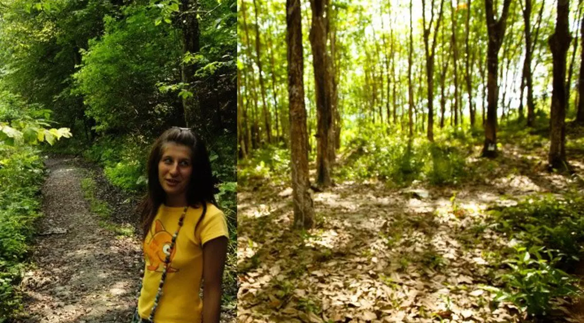 Şocant: Povestea unei românce care a născut în pădure în Norvegia