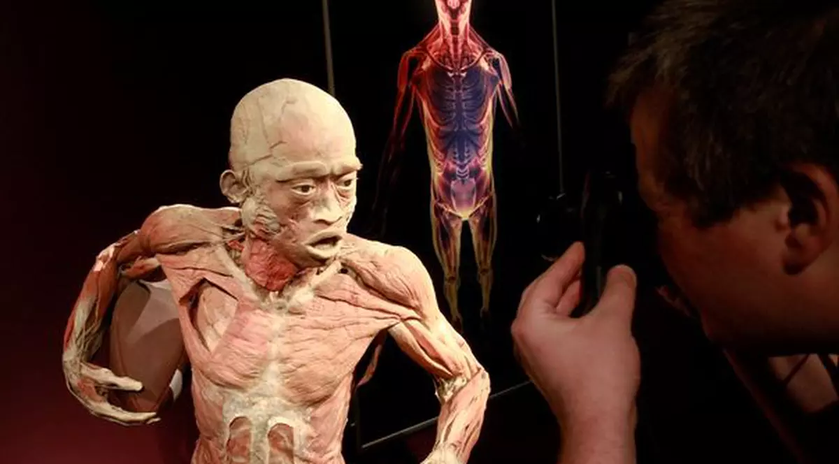 Muzeul Antipa o comite la o expoziţie de CADAVRE: "Copiii cu vârste mai mici de 7 ani beneficiază de acces gratuit"