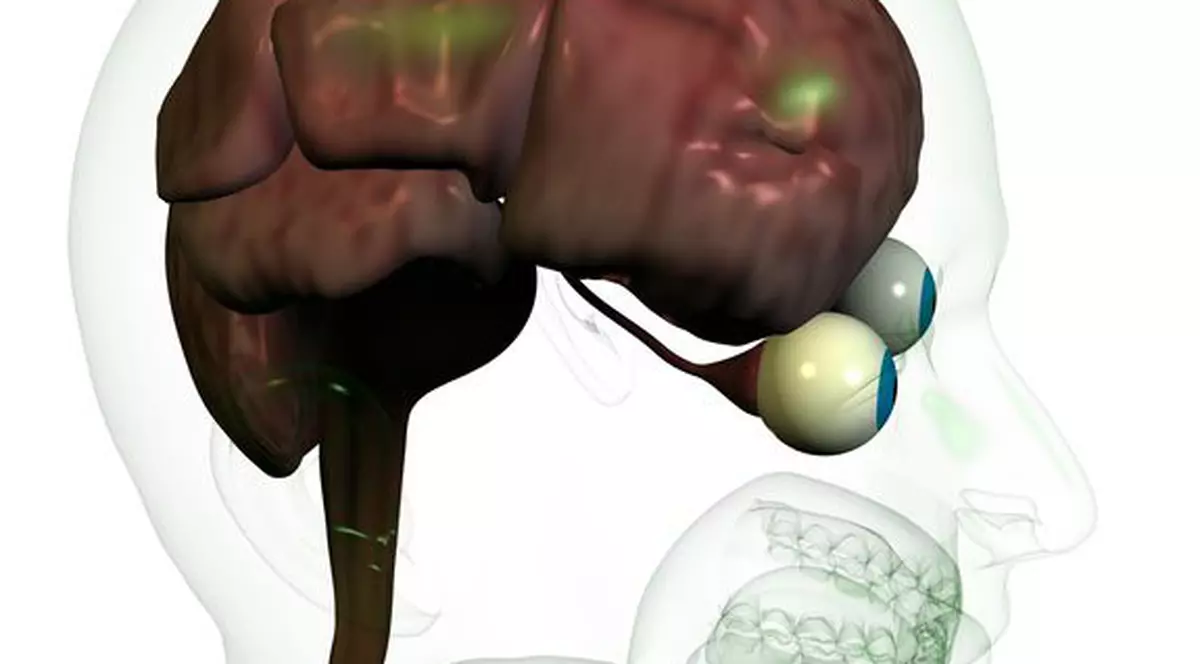 Femeile au creierul mai mic decât bărbaţii, dar este mult mai productiv