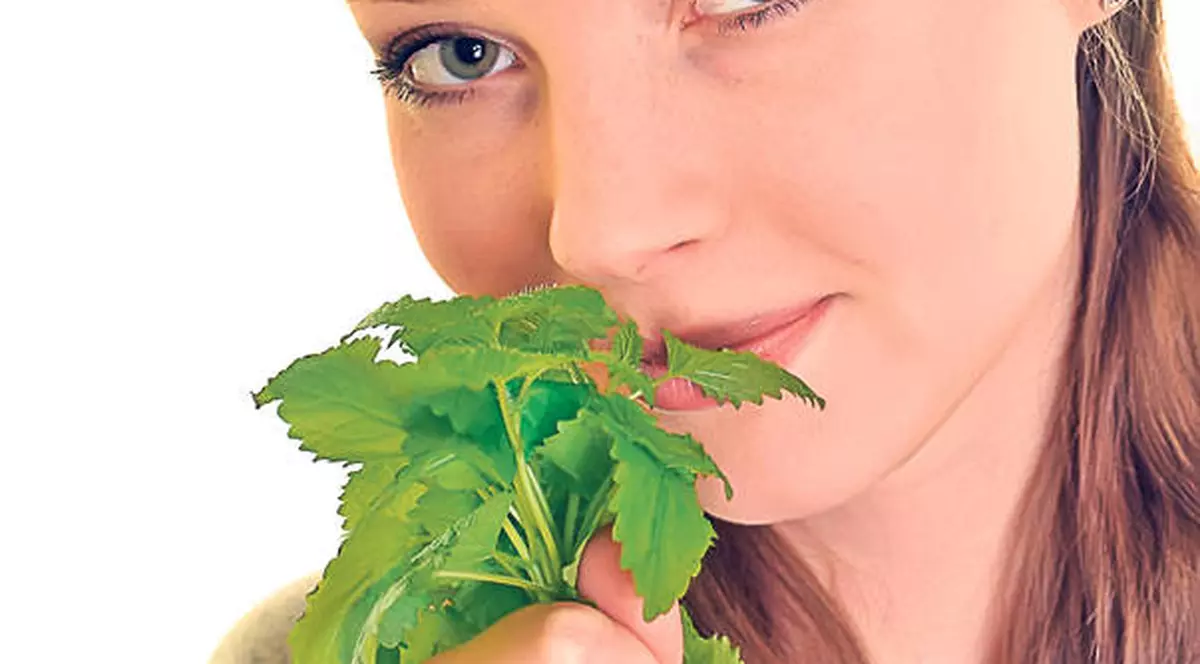 Homeopatia,  tratament fără efecte secundare 