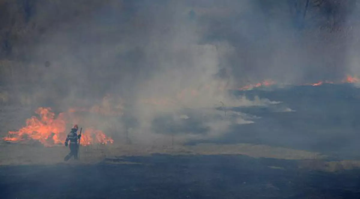 Incendiu la Lacul Văcăreşti din Capitală! Pompierii au stins vegetaţia aprinsă 