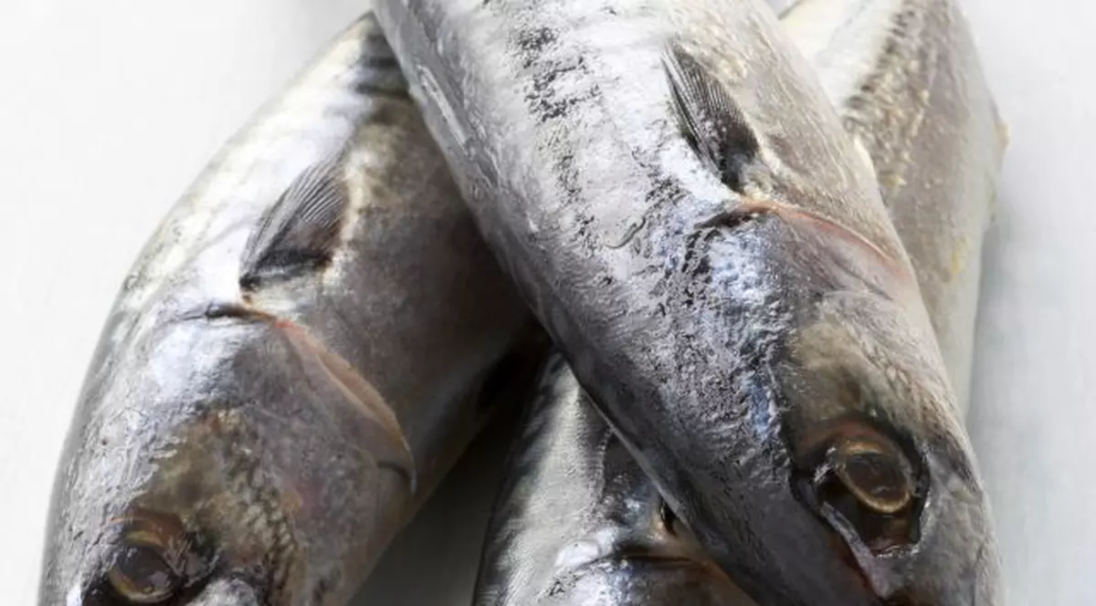 ALERTĂ în mai multe judeţe! Un parazit, descoperit în macrou congelat