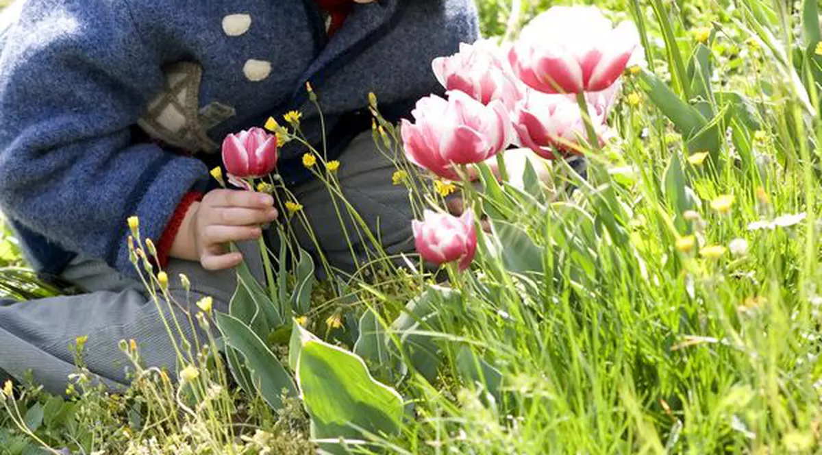 PROGNOZA METEO: Vezi cum va fi vremea în acest weekend!