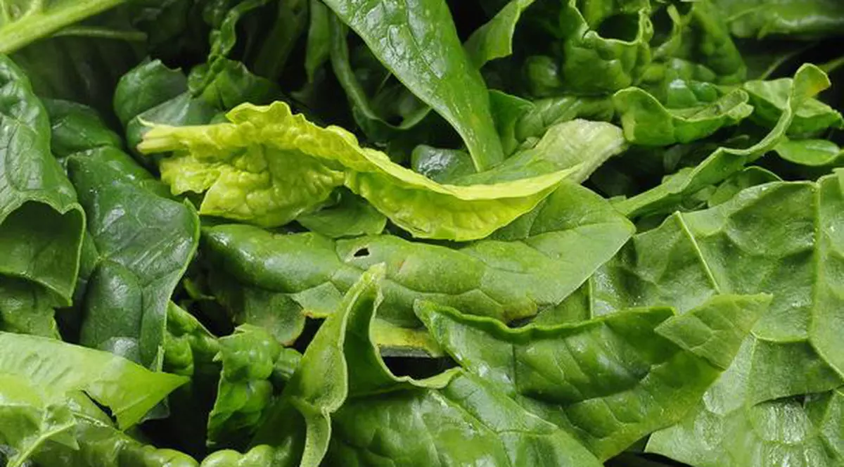 Magneziul, elixir pentru organism