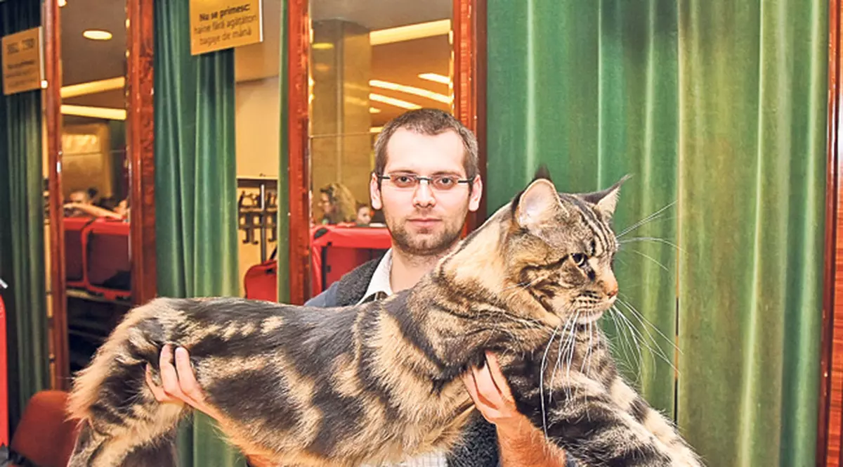 Uriaşul ăsta are 9 kg! Iată ce minunăţii de pisici s-au adunat la expoziţia de la Sala Palatului | FOTO