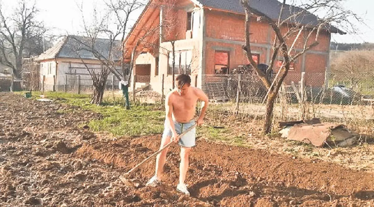 Primarul din Spermezeu e cel mai tare gospodar din comună! Dă lecţii de săpat la bustul gol