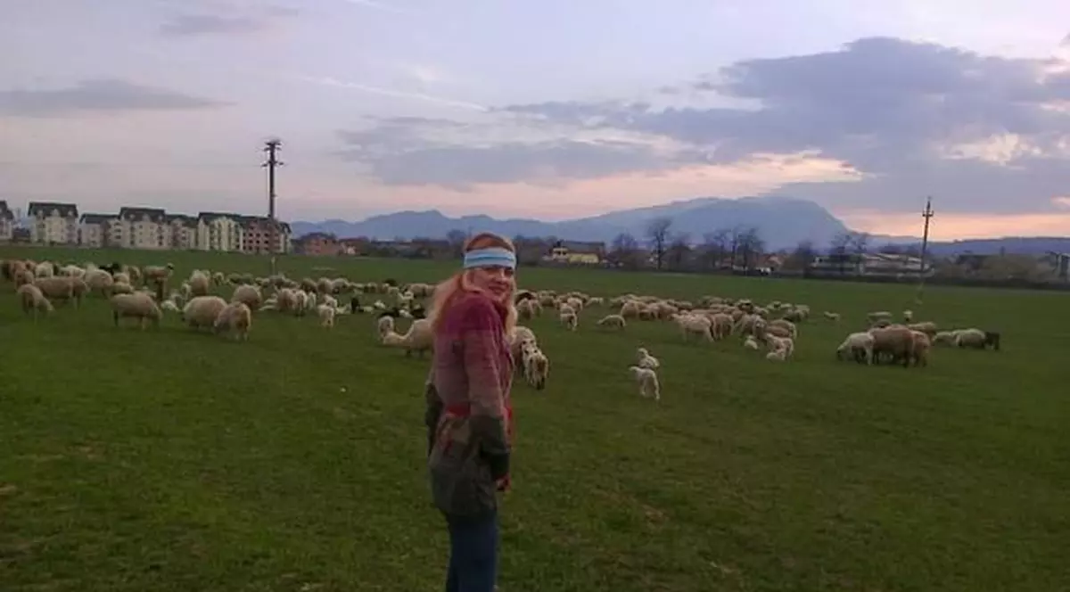 Află ce vedetă şi-a luat miel direct de pe câmp