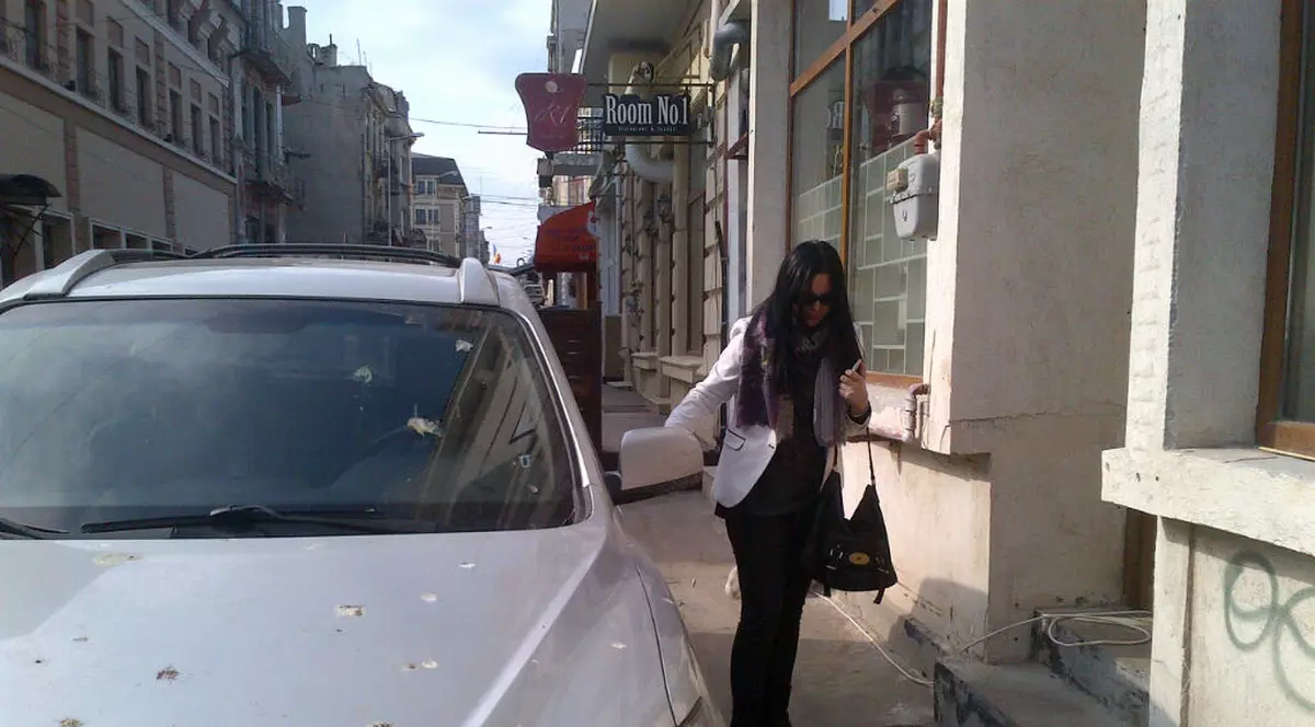 Mirela Matichescu, subsecretar de stat al ANT, pasionată de designul de interiorI FOTO