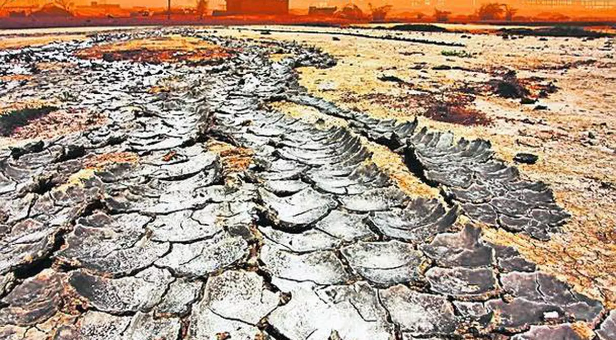 Alarmant! Ultimii ani ai secolului al XX-lea au fost cei mai călduroşi din ultimii 1.400