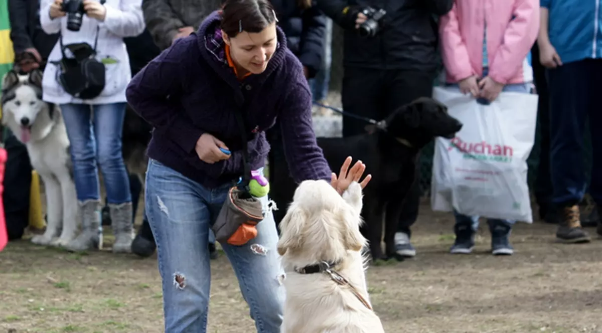 Adu-ţi căţelul la o prezentare de modă în parc!