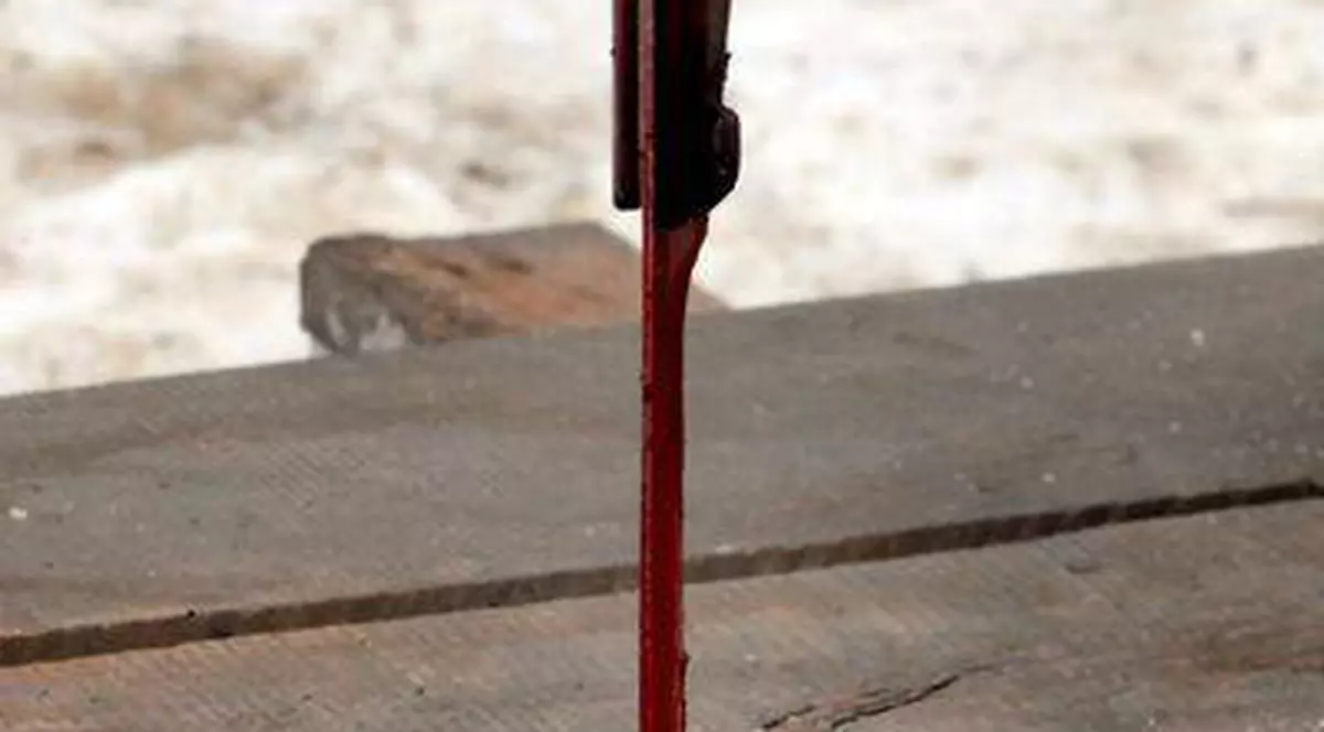 Șocant! Adolescentă de 16 ani, măcelărită de iubitul de 39 de ani 