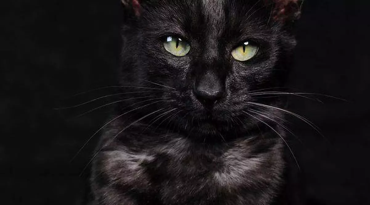 Studiu: Românii cred în destin, ghinion şi zodii