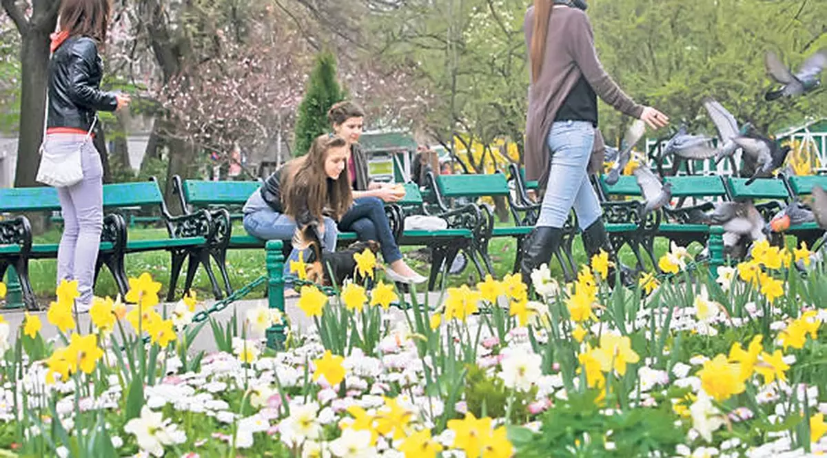 Vreme frumoasă în weekend. Maxime de 24 de grade Celsius