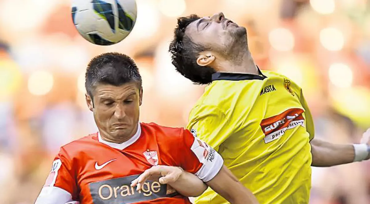 «Câini» loviți cu piatra și cu fluierul!