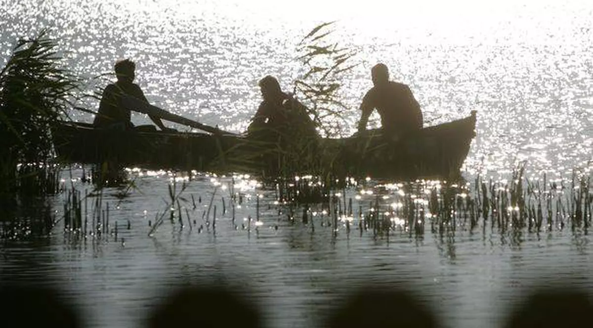 Un medic ginecolog a murit, la o partidă de pescuit, înecat în Delta Dunării 