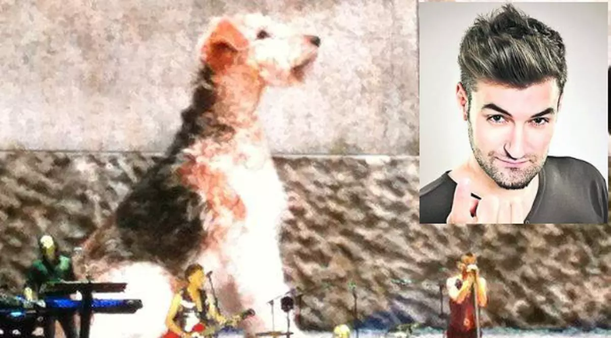 CRITICAT de unii, ADMIRAT de alţii! Ce a făcut SMILEY după concertul Depeche Mode! EXCLUSIV