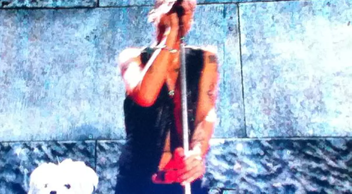 Depeche Mode a încins Capitala! Celebra trupă britanică i-a încântat pe români | FOTO