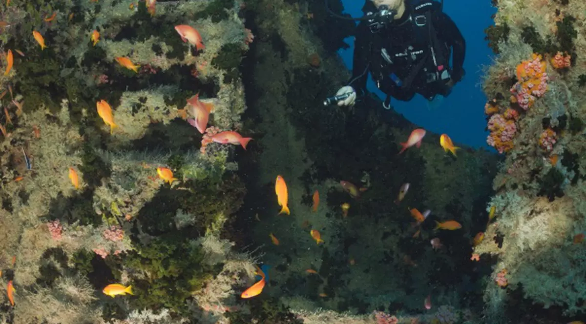 DESCOPERIRE IMPORTANTĂ, veche de 32.500 de ani, găsită pe fundul oceanului Atlantic