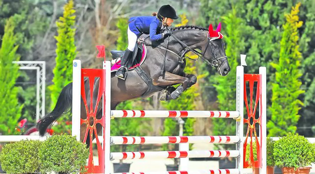 Căluţule, du-o la Olimpiadă!