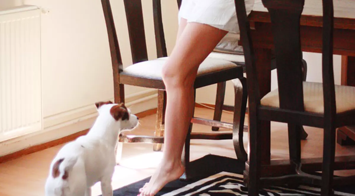 Dana Rogoz, FERICITĂ ÎN NOUA CASĂ. Uite CUM SE RĂSFAŢĂ vedeta