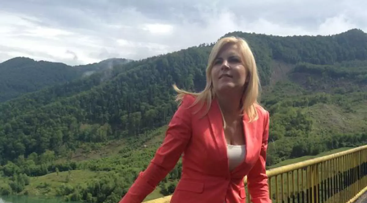 Elena Udrea, «single» și asediată de admiratori pe Facebook: «Casatorestete cu mine esti o dulce»