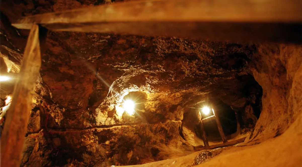 Cianurile vor fi interzise în România! Anunțul făcut de Ministrul Mediului