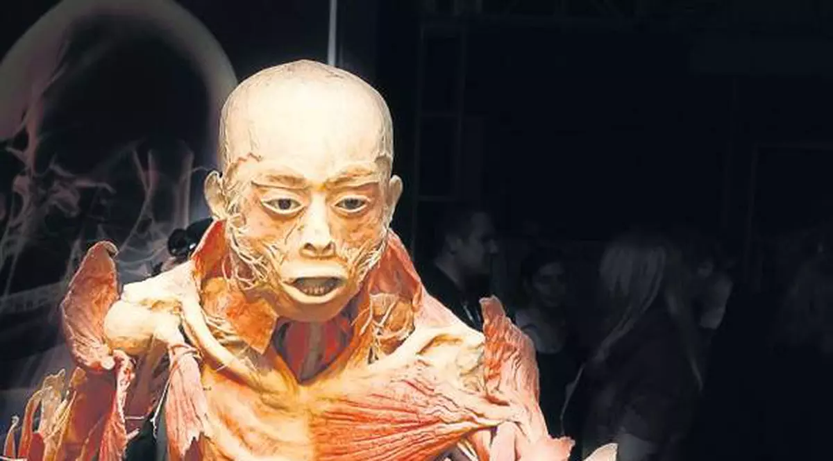 13 curiozităţi despre corpul uman