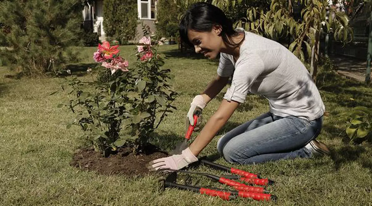 Fă-ţi grădină... la preţ redus!