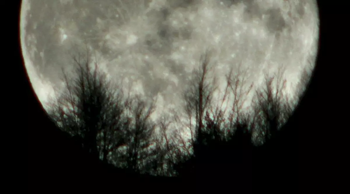 Cum îți afectează Luna plină viața amoroasă, în funcție de zodie