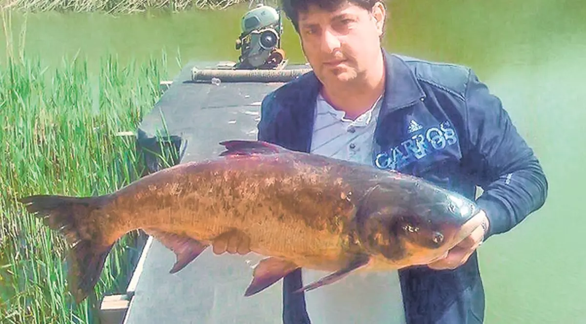 Secretele lui Tavi Colen! Libertatea l-a descusut pe unul dintre cei mai mari pescari de novaci