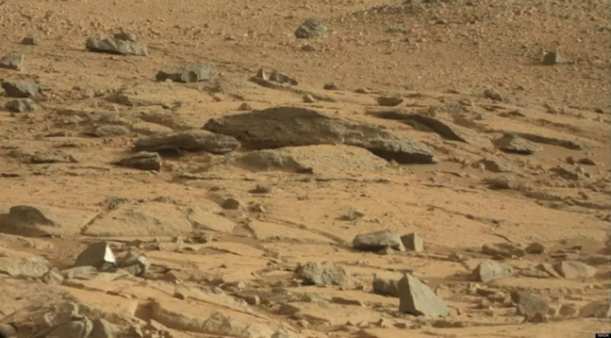 CREATURA descoperită într-o fotografie de pe Marte | INTRĂ SĂ VEZI DETALIUL INTERESANT