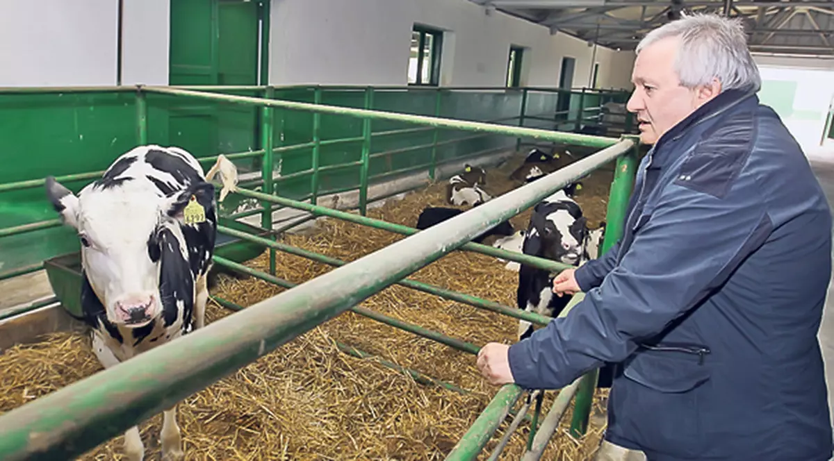 UEFA i-a impus să se rezume la vaci! Ori observator, ori patron la Vaslui, i-ar fi transmis lui Adrian Porumboiu oficiali ai forului continental