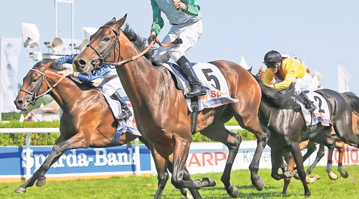 Cruzime de 7.500 €! Jocheul german Andrasch Starke a plătit pentru că şi-a cravaşat prea mult calul