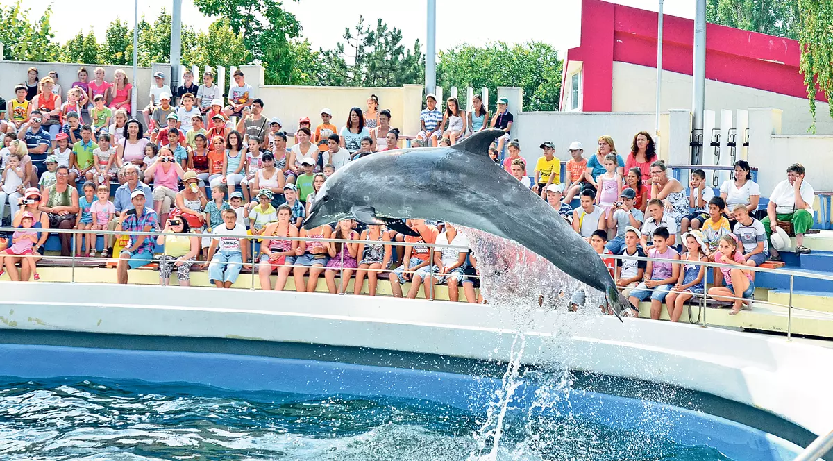 120.000 de euro pentru Pei-Pei!