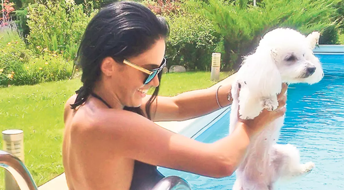 VIAȚĂ DE CÂINE! Uite cum își răsfață vedetele animalele! FOTO